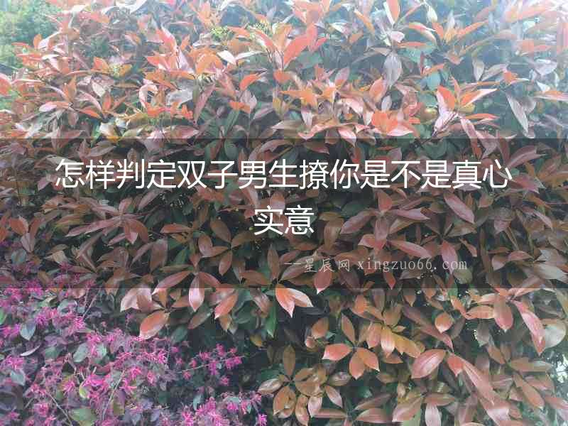怎樣判定雙子男生撩你是不是真心實(shí)意
