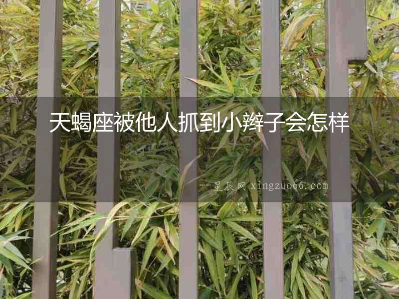 天蝎座被他人抓到小辮子會怎樣