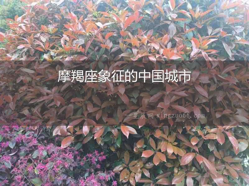 摩羯座象征的中國城市