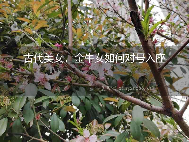 古代美女，金牛女如何對號入座