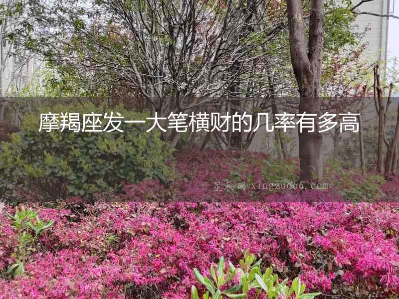 摩羯座發一大筆橫財的幾率有多高