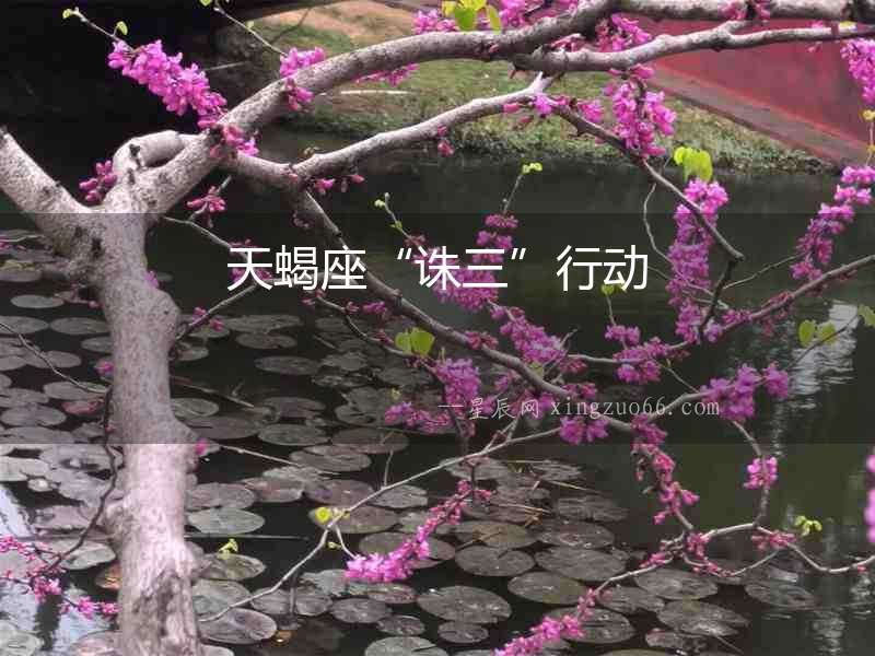 天蝎座“誅三”行動
