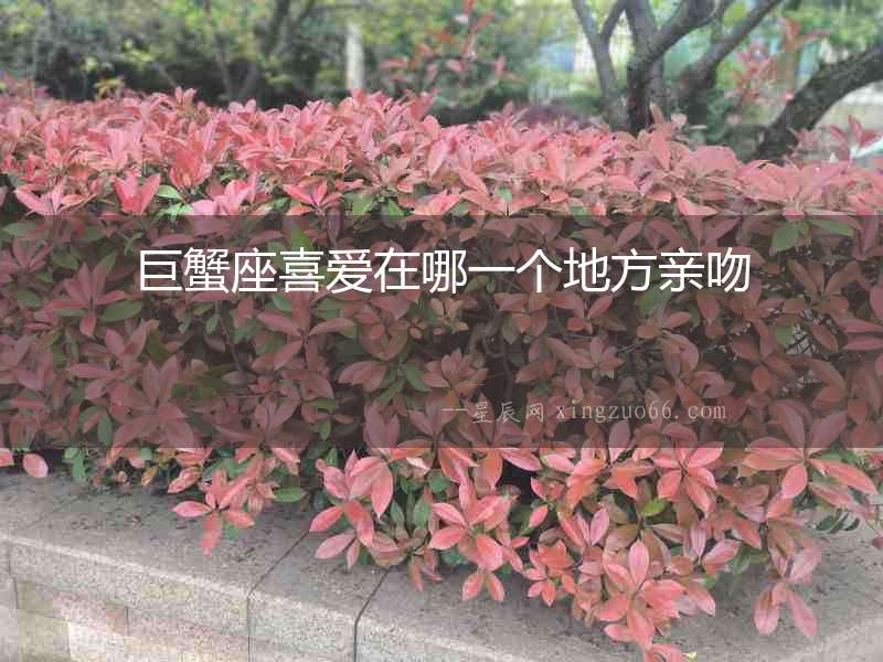 巨蟹座喜愛在哪一個地方親吻