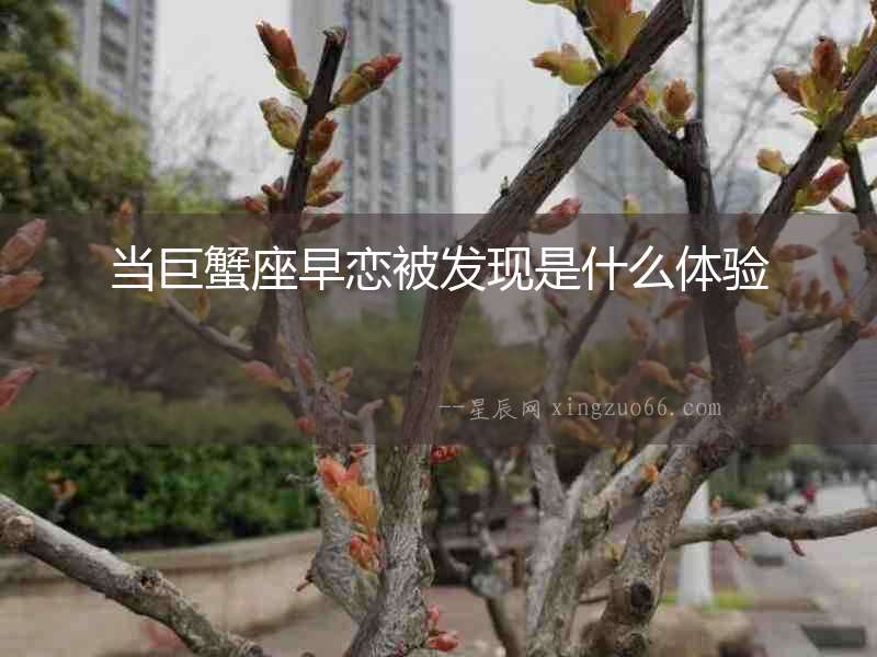 當巨蟹座早戀被發現是什么體驗