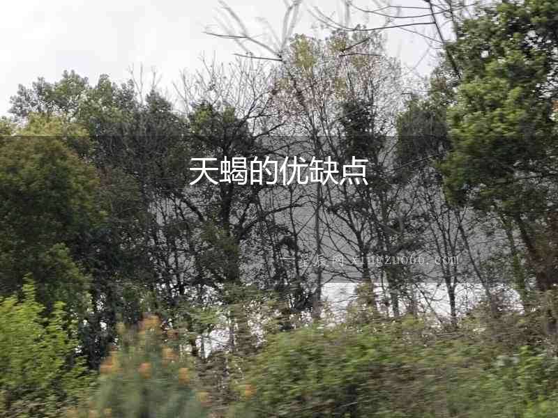 天蝎的優(yōu)缺點(diǎn)