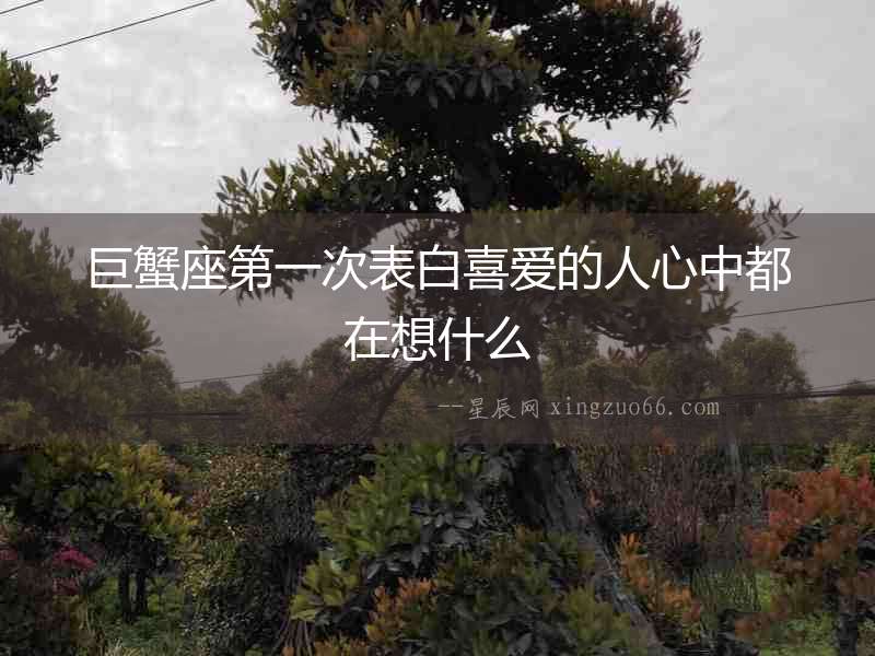 巨蟹座第一次表白喜愛的人心中都在想什么