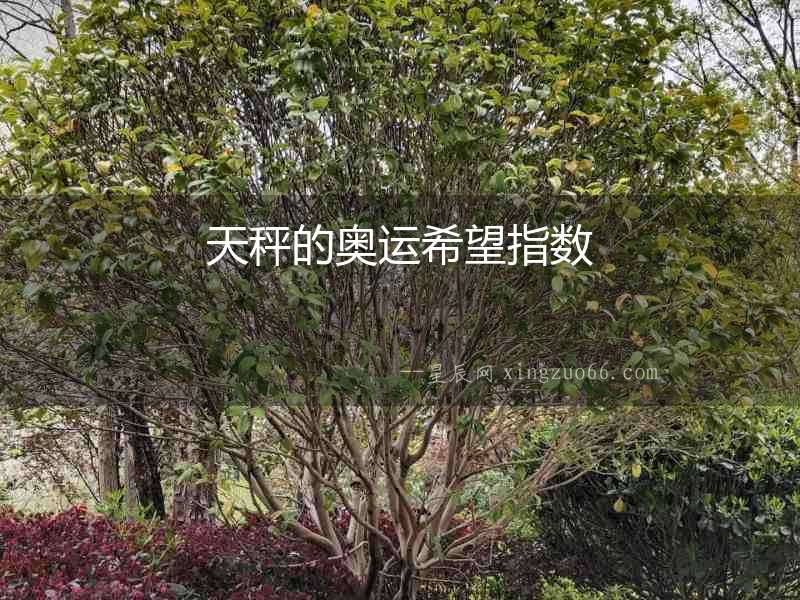 天秤的奧運(yùn)希望指數(shù)