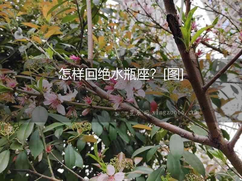 怎樣回絕水瓶座？[圖]