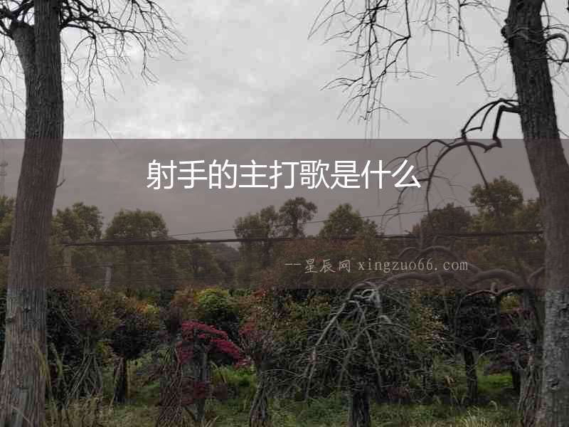射手的主打歌是什么