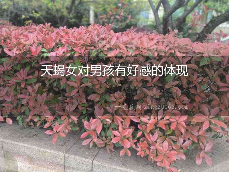 天蝎女對男孩有好感的體現