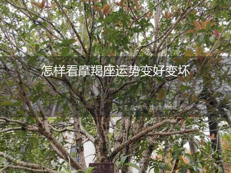 怎樣看摩羯座運勢變好變壞