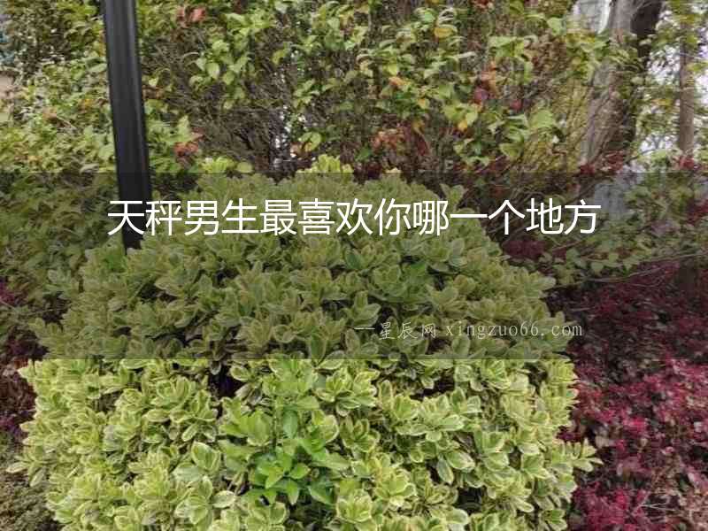 天秤男生最喜歡你哪一個(gè)地方
