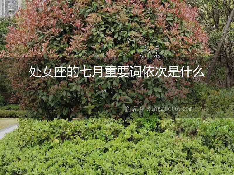 處女座的七月重要詞依次是什么