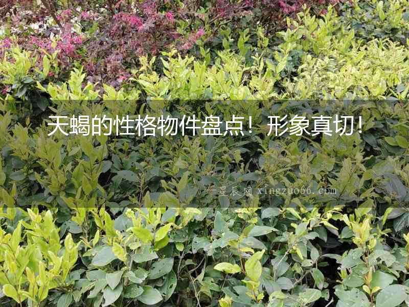 天蝎的性格物件盤點！形象真切！
