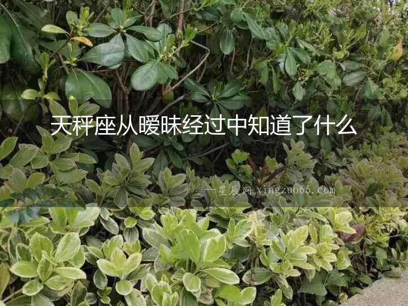 天秤座從曖昧經過中知道了什么