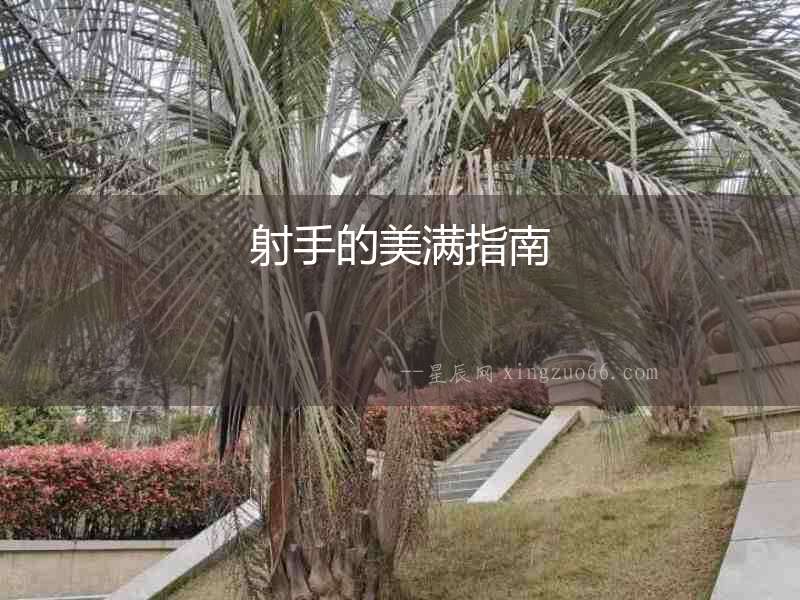 射手的美滿指南