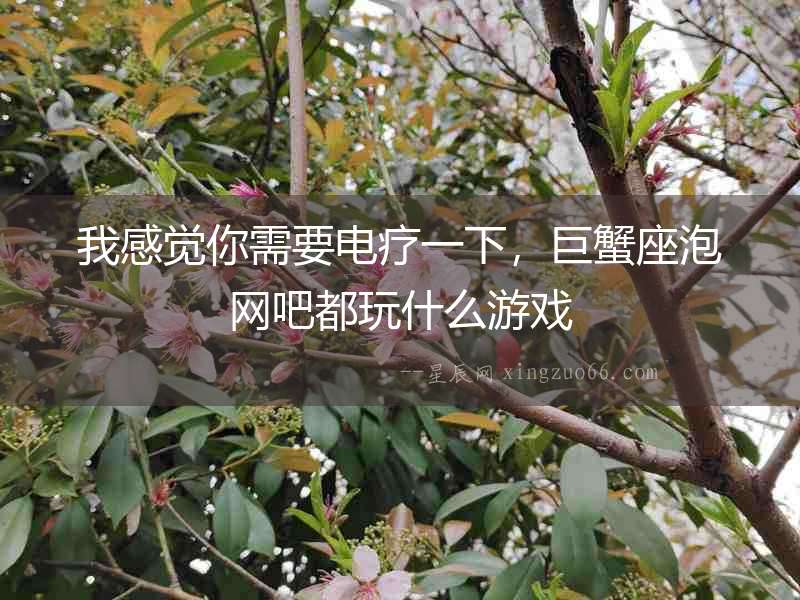 我感覺你需要電療一下，巨蟹座泡網吧都玩什么游戲