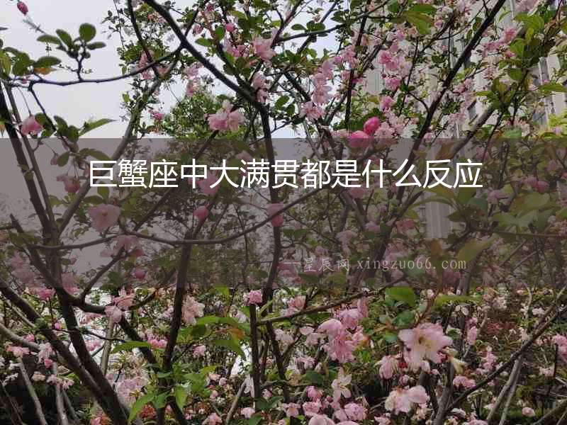 巨蟹座中大滿貫都是什么反應