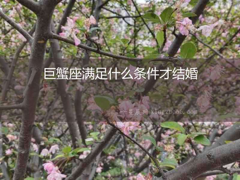 巨蟹座滿足什么條件才結婚