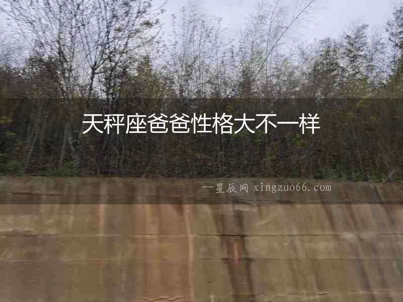 天秤座爸爸性格大不一樣