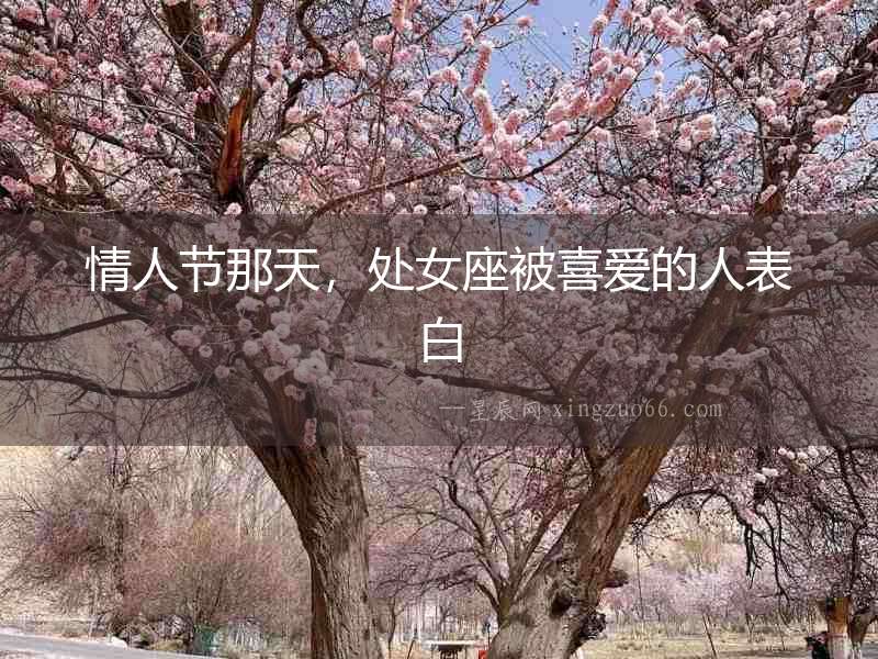 情人節那天，處女座被喜愛的人表白