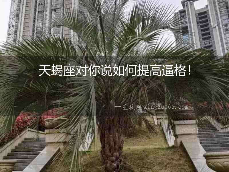 天蝎座對你說如何提高逼格！