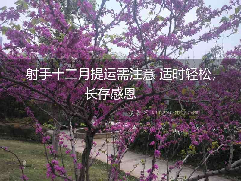 射手十二月提運需注意 適時輕松，長存感恩  　　