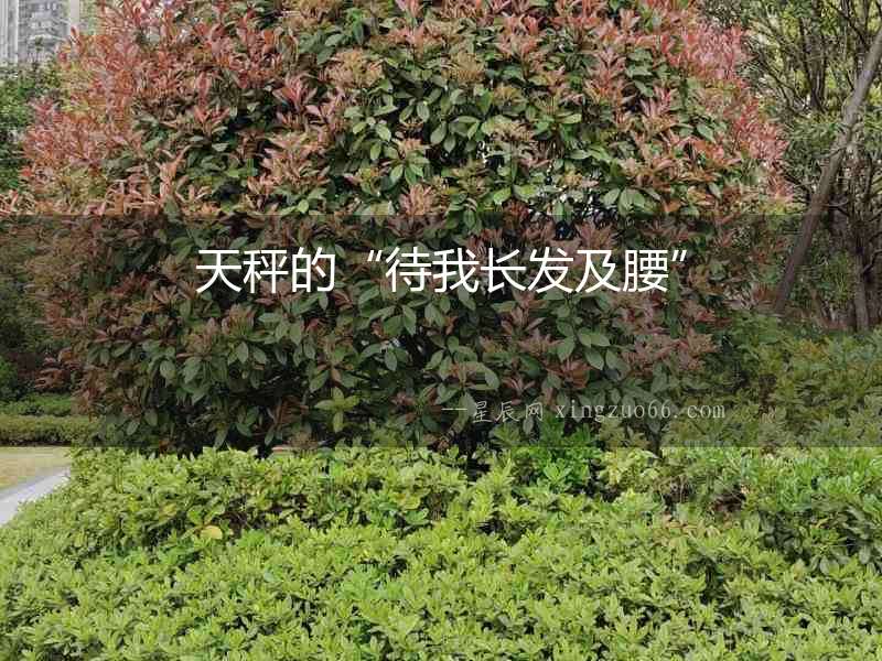 天秤的“待我長發及腰”