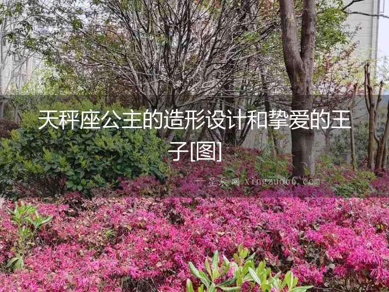 天秤座公主的造形設(shè)計(jì)和摯愛的王子[圖]