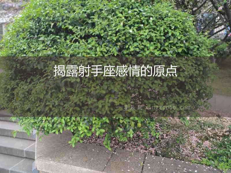 揭露射手座感情的原點