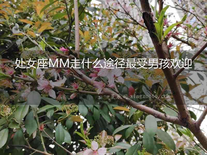 處女座MM走什么途徑最受男孩歡迎