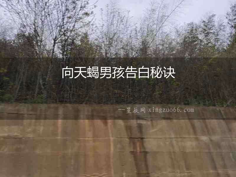 向天蝎男孩告白秘訣