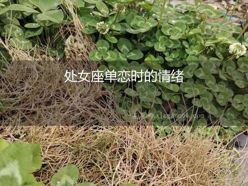 處女座單戀時的情緒