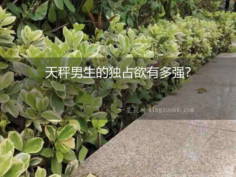 天秤男生的獨占欲有多強？