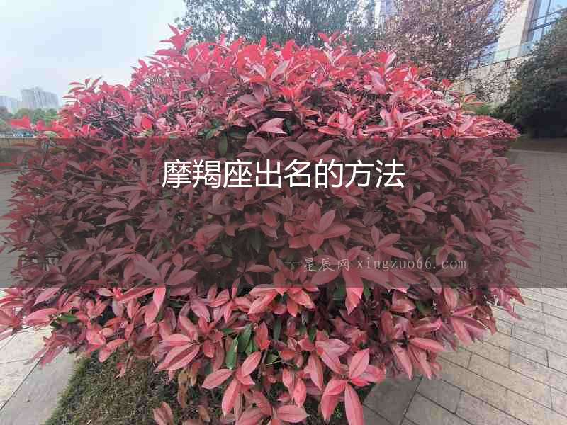 摩羯座出名的方法