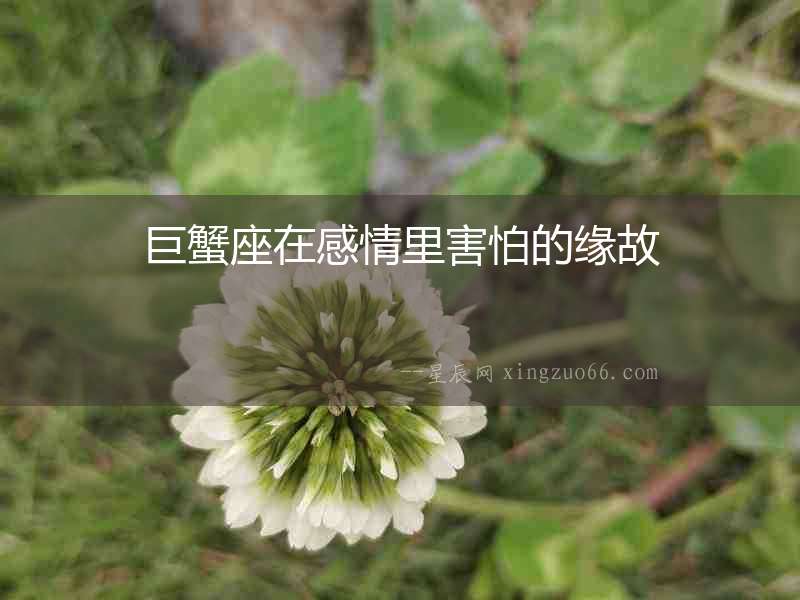 巨蟹座在感情里害怕的緣故
