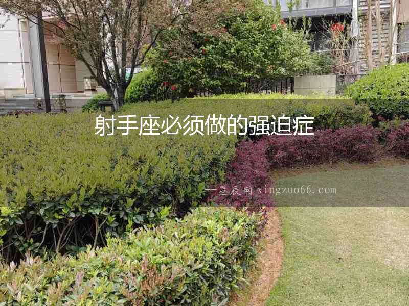 射手座必須做的強(qiáng)迫癥