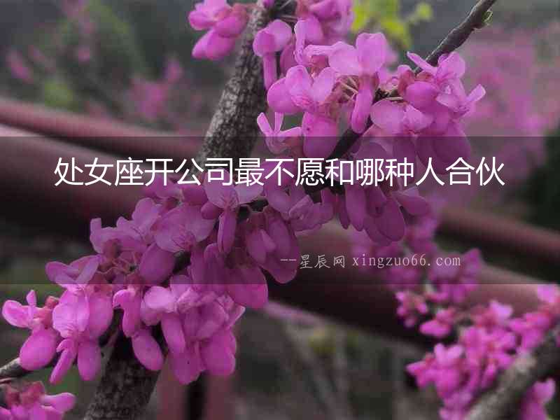 處女座開公司最不愿和哪種人合伙