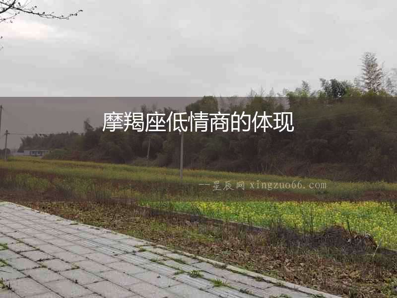 摩羯座低情商的體現(xiàn)