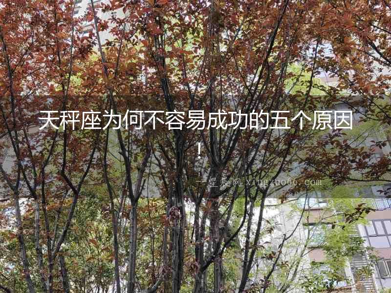 天秤座為何不容易成功的五個原因！