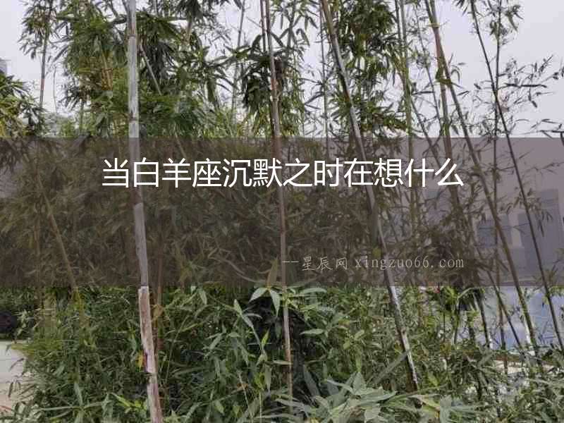 當(dāng)白羊座沉默之時(shí)在想什么