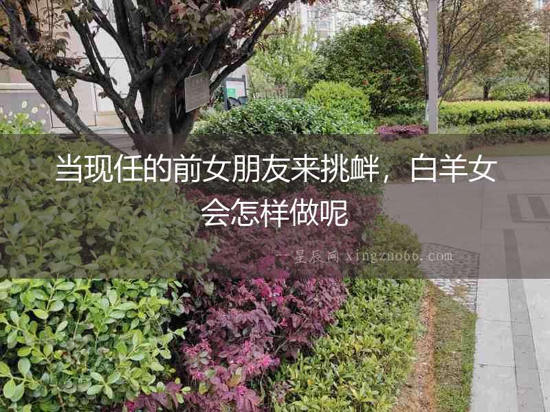 當現任的前女朋友來挑釁，白羊女會怎樣做呢