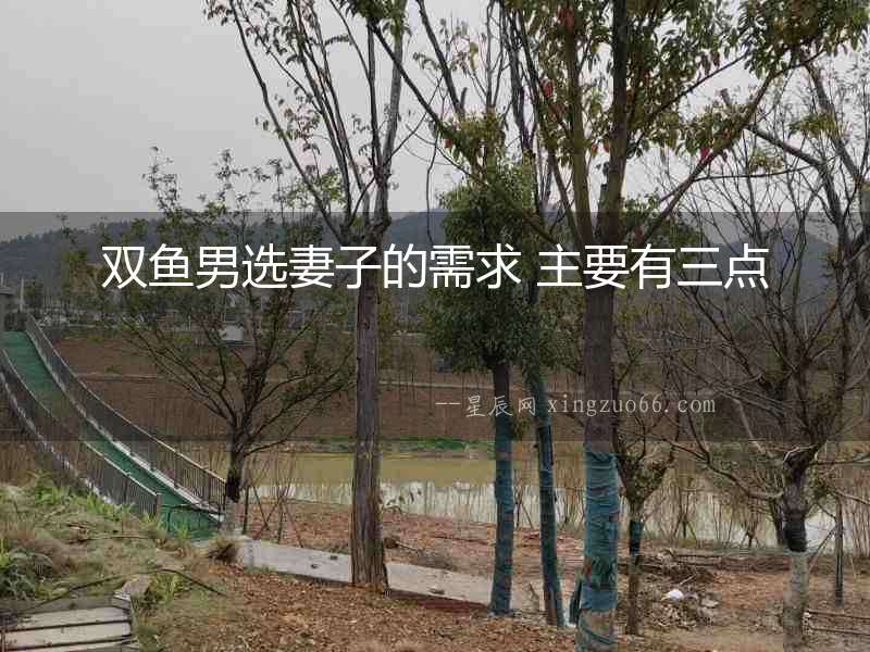 雙魚男選妻子的需求 主要有三點