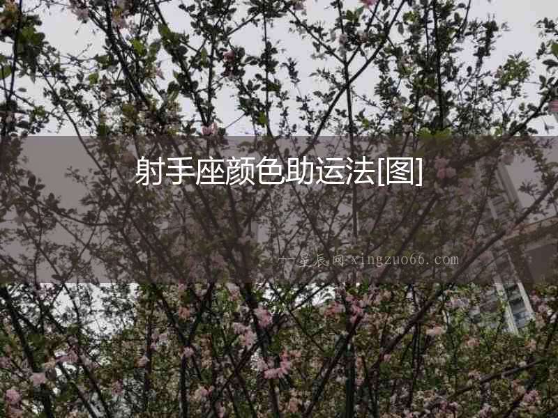 射手座顏色助運法[圖]