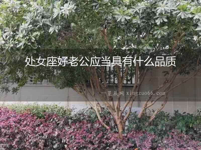 處女座好老公應當具有什么品質