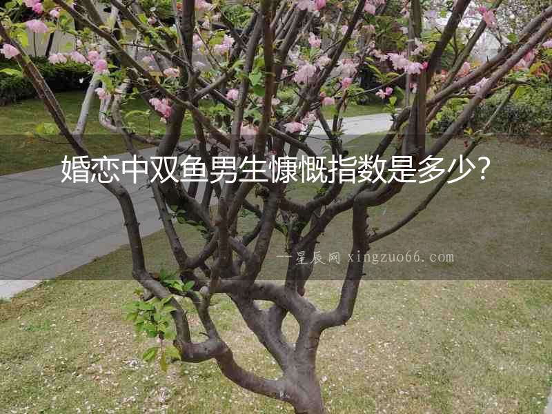 婚戀中雙魚男生慷慨指數是多少？