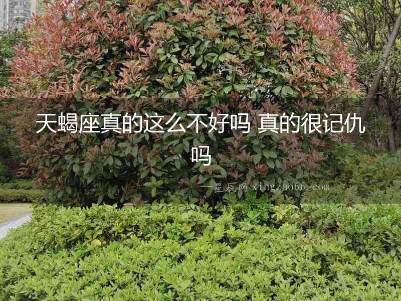 天蝎座真的這么不好嗎 真的很記仇嗎