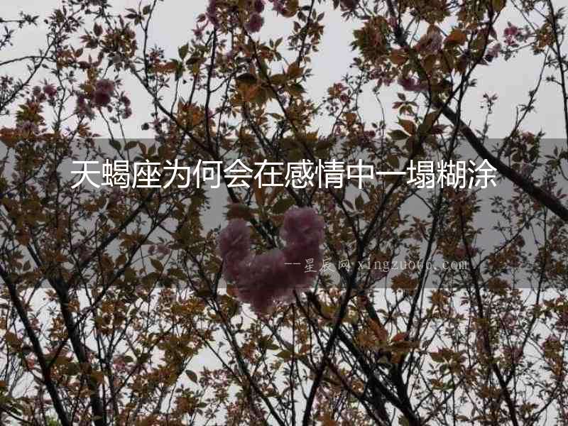 天蝎座為何會在感情中一塌糊涂