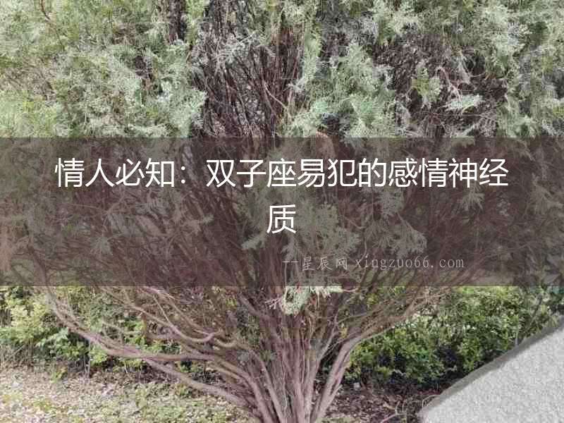 情人必知：雙子座易犯的感情神經質