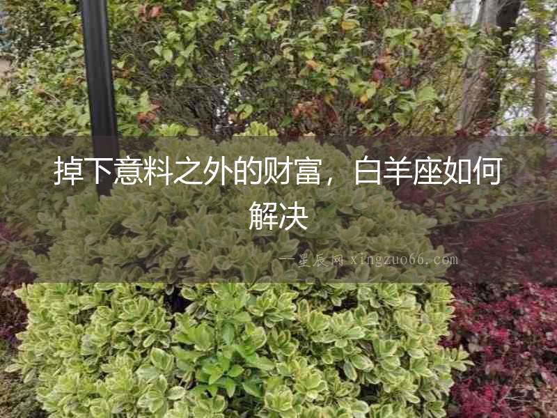掉下意料之外的財(cái)富，白羊座如何解決